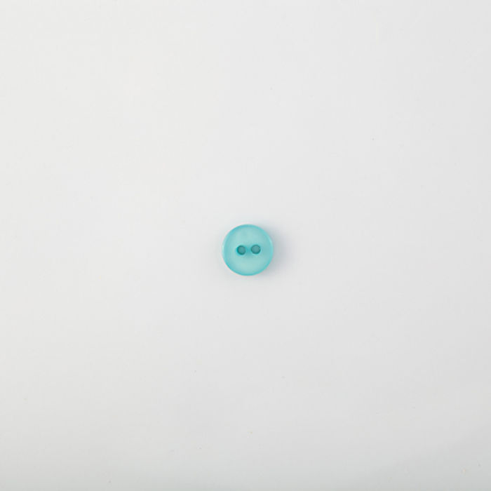 101.527 - BOTÃO COM 24 UN.