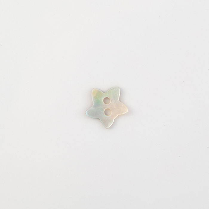 101.256 - BOTÃO COM 12 UN.