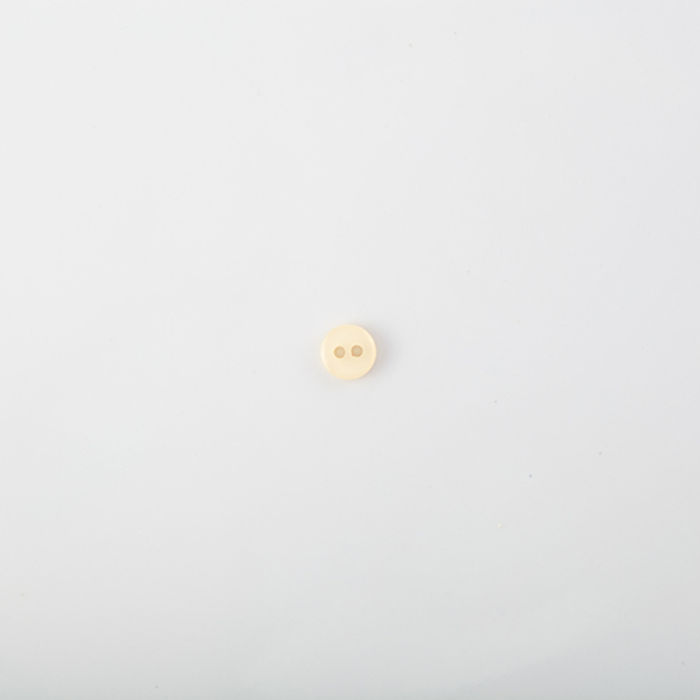 101.446 - BOTÃO COM 24 UN.