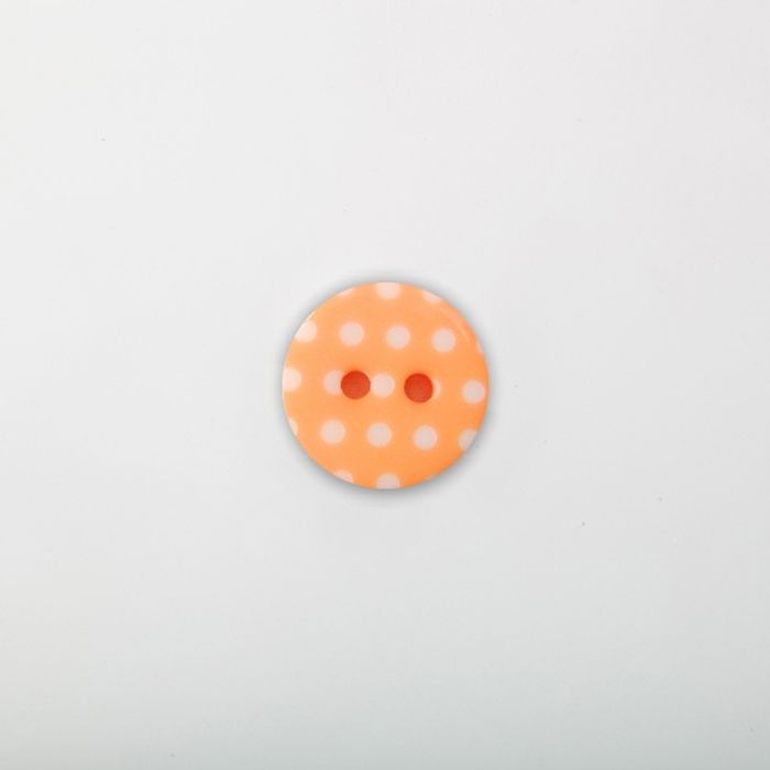 102.047 - BOTÃO COM 6 UN.