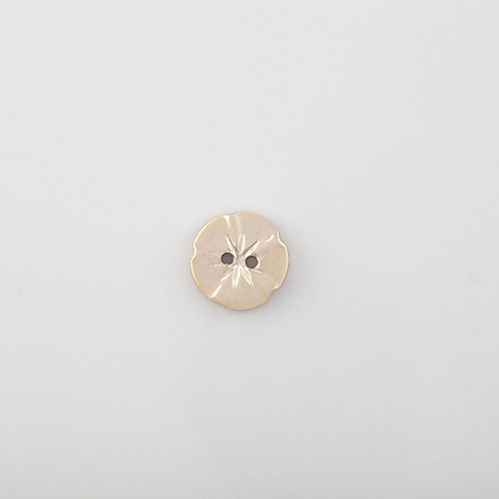 100.910 - BOTÃO COM 12 UN.