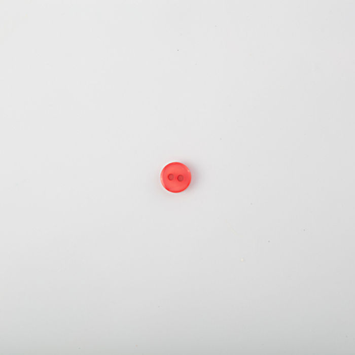 101.453 - BOTÃO COM 24 UN.