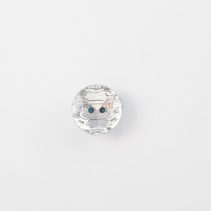 101.001 - BOTÃO COM 6 UN.