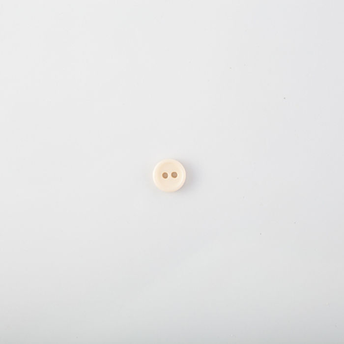 101.589 - BOTÃO COM 24 UN.