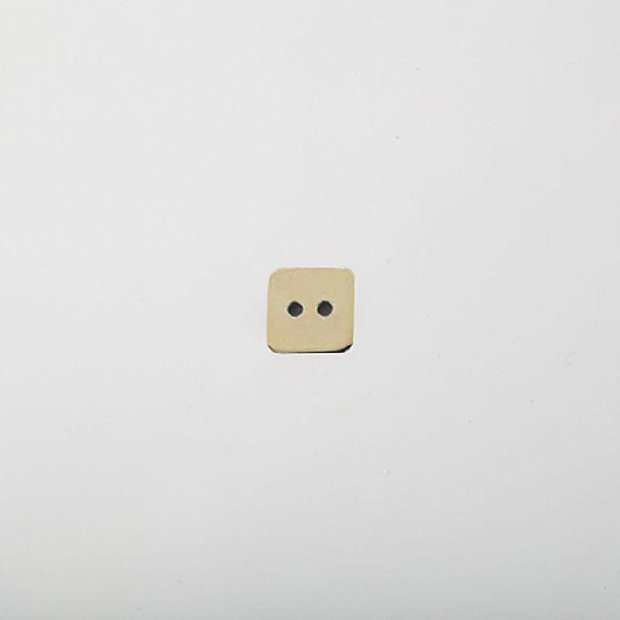 100.901 - BOTÃO COM 12 UN.