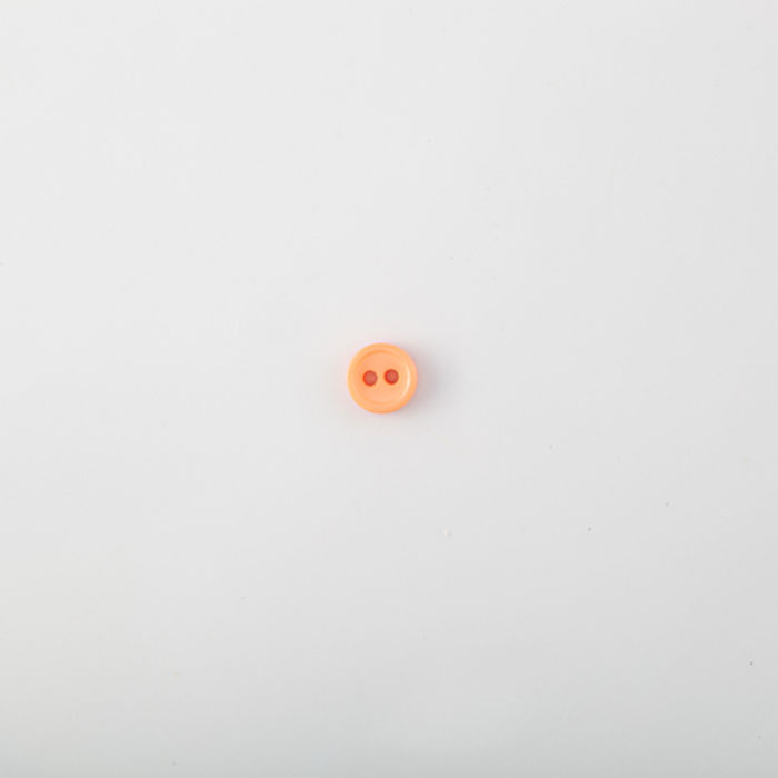 101.547 - BOTÃO COM 24 UN.