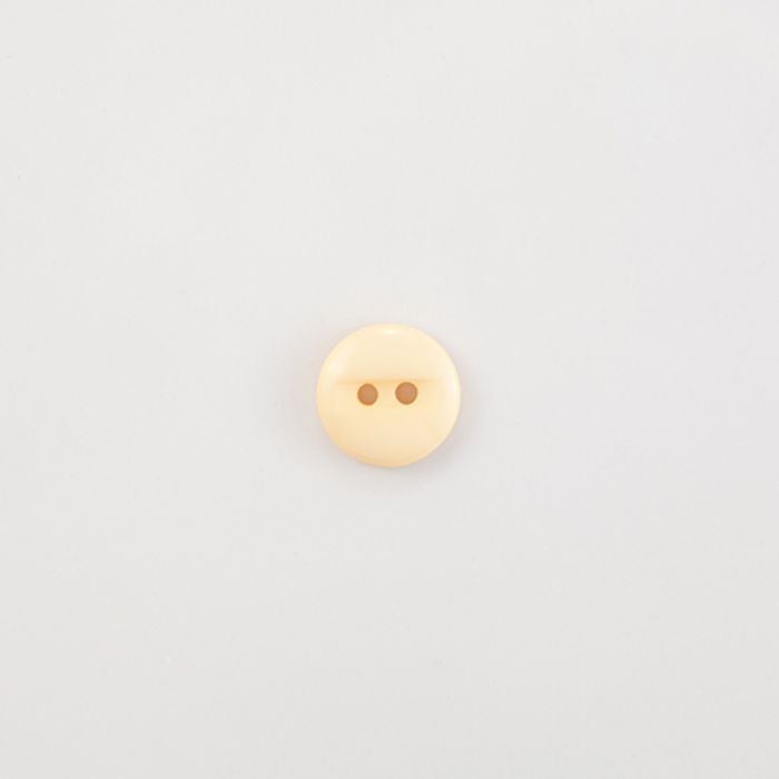 101.647 - BOTÃO COM 12 UN.