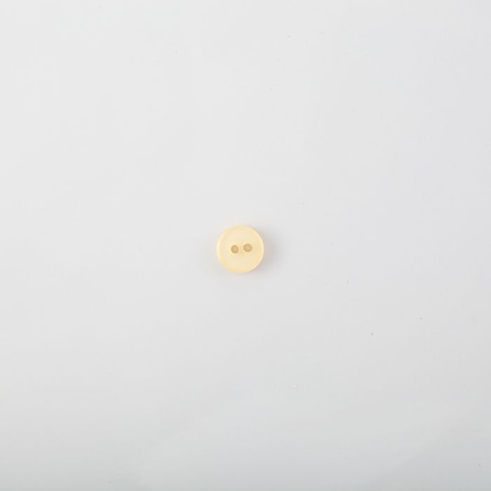 101.494 - BOTÃO COM 24 UN.