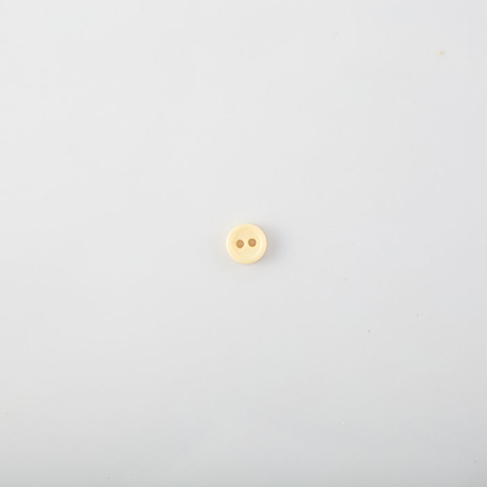 101.542 - BOTÃO COM 24 UN.