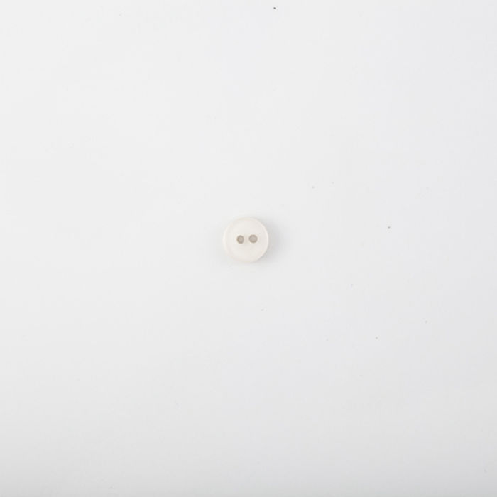 101.492 - BOTÃO COM 24 UN.