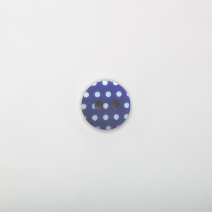 102.021 - BOTÃO COM 12 UN.