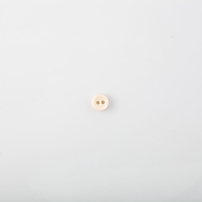 101.541 - BOTÃO COM 24 UN.