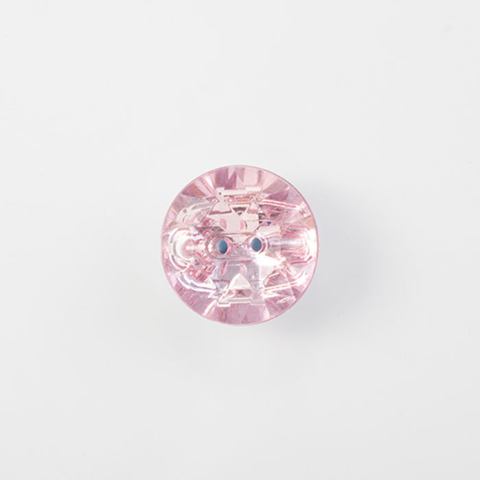 101.017 - BOTÃO COM 6 UN.