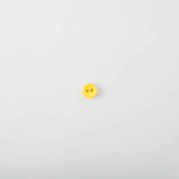 101.544 - BOTÃO COM 24 UN.