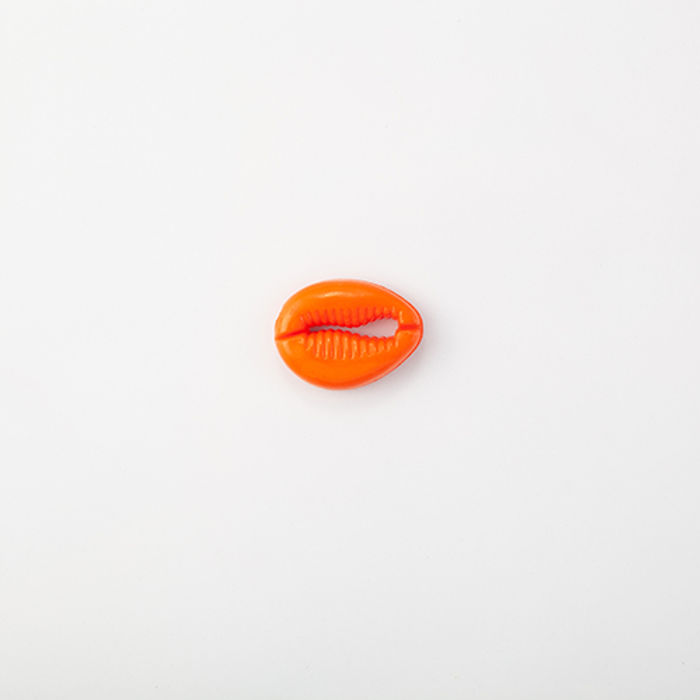 102.541 - BÚZIOS COM 10 UN.