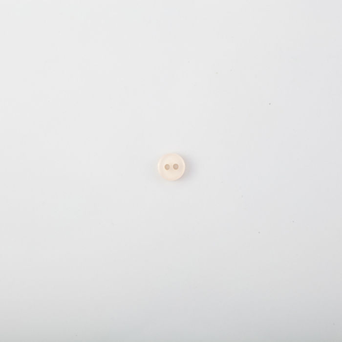 101.445 - BOTÃO COM 24 UN.