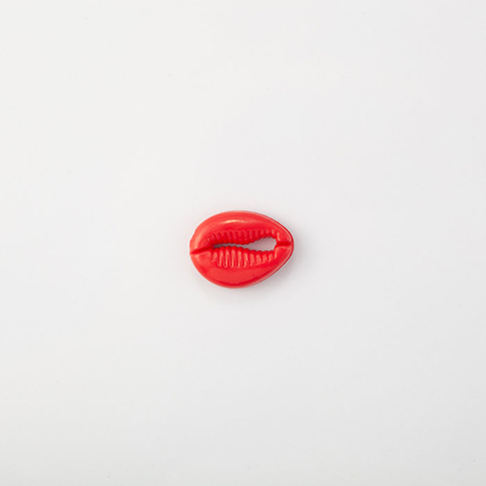 102.540 - BÚZIOS COM 10 UN.