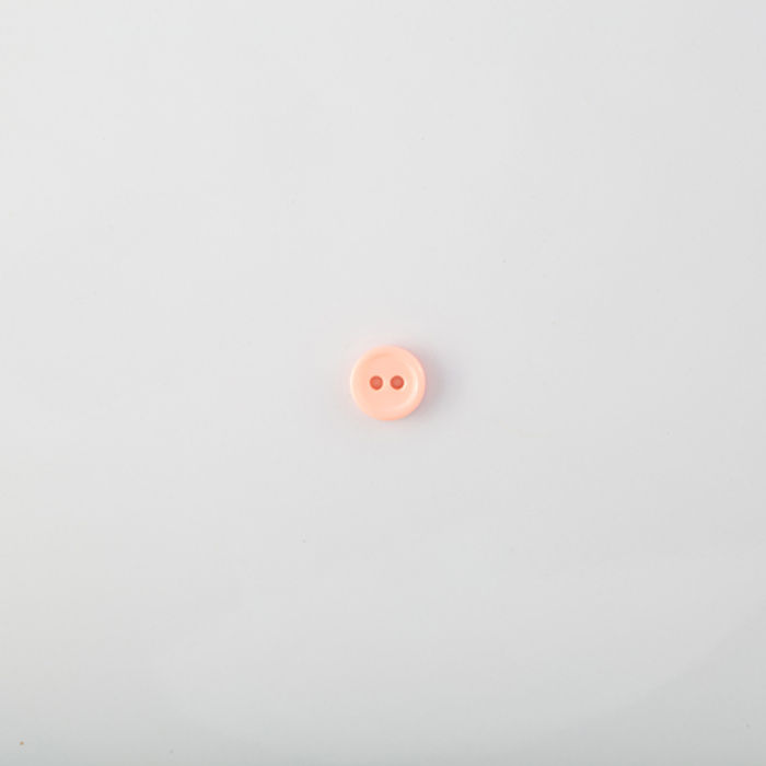 101.594 - BOTÃO COM 24 UN.