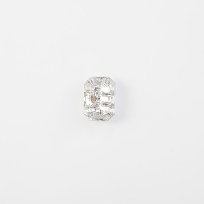 101.009 - BOTÃO COM 12 UN.