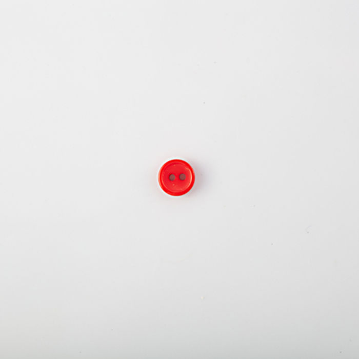 101.598 - BOTÃO COM 24 UN.