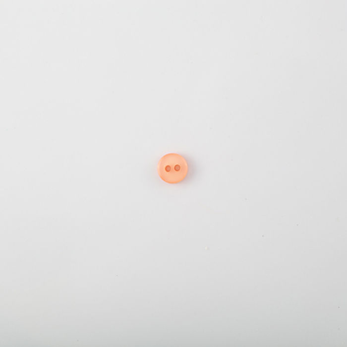 101.499 - BOTÃO COM 24 UN.