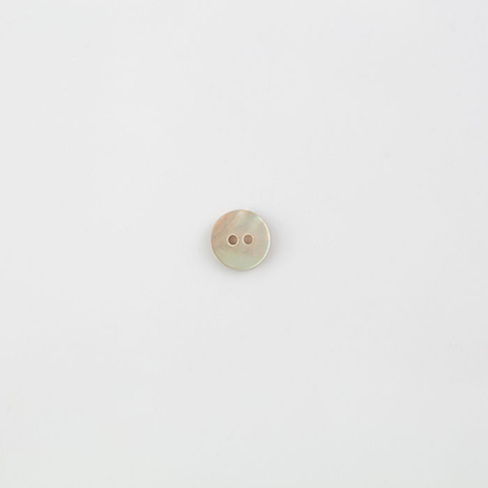 101.260 - BOTÃO COM 12 UN.