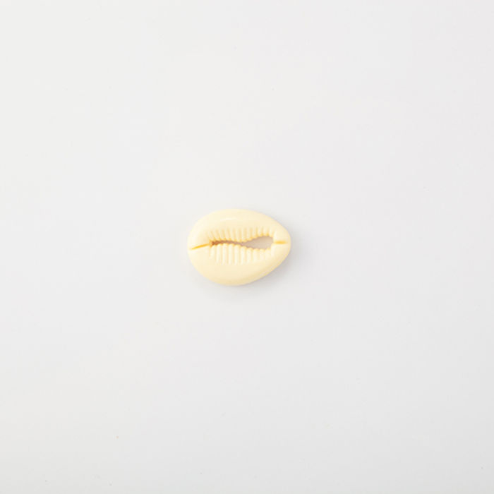 102.524 - BÚZIOS COM 10 UN.