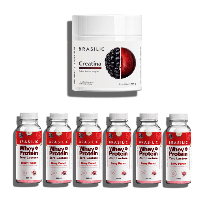 Combo 1 Creatina Frutas Negras 120g + 6 Unidades de Whey Protein Zero Lactose Berry Punch Garrafinha
