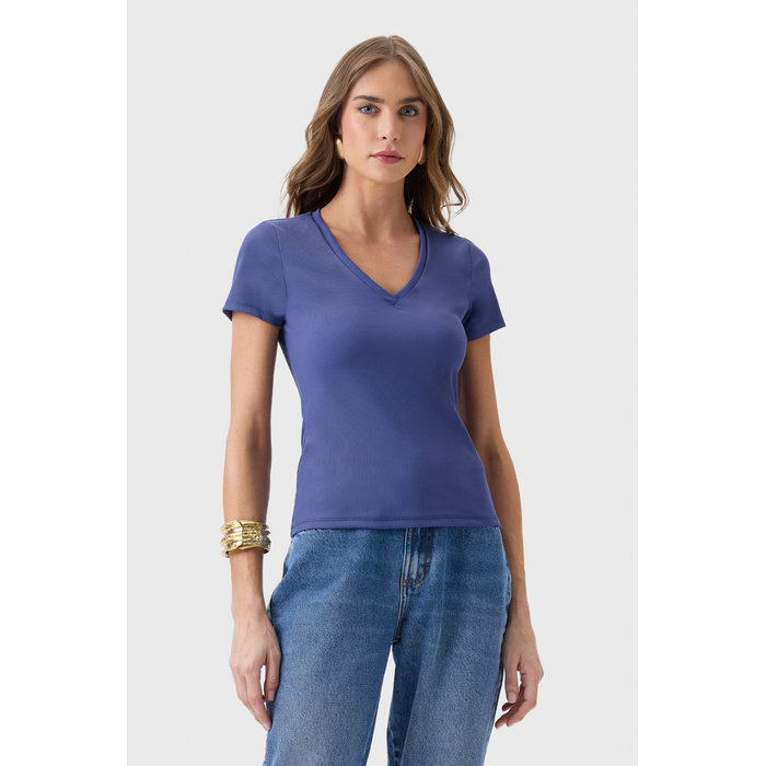 Blusa Flor de Lis Poliamida Elastano Malha Canelada Decote V Manga Curta Lisa Azul