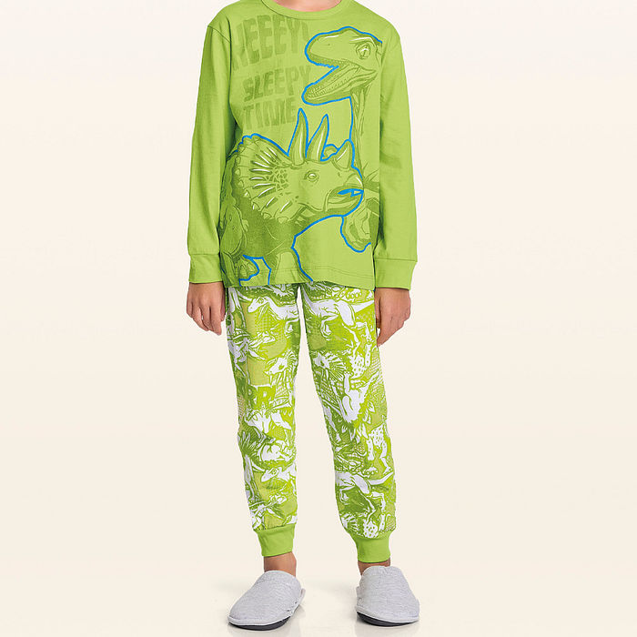 Conjunto pijama camiseta manga longa e calça dino