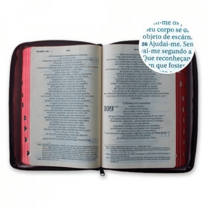 Bíblia Zíper Bolso Marrom