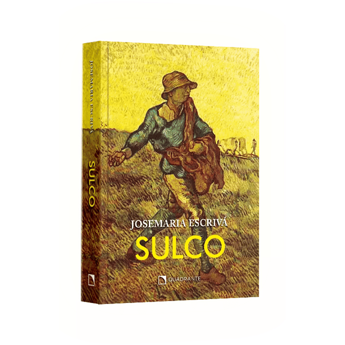 Sulco