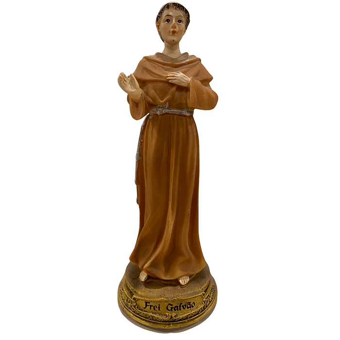 Imagem de Frei Galvão de Resina 15 cm