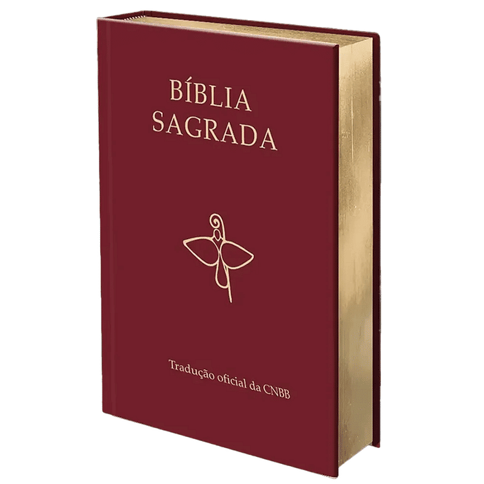 Bíblia Sagrada - Tradução Oficial da CNBB - 6ª Edição - Semiluxo
