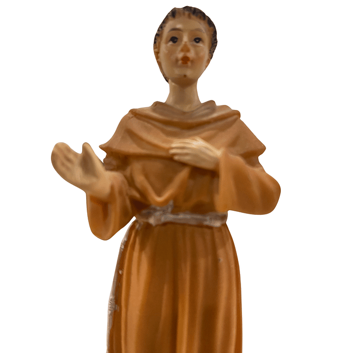 Imagem de Frei Galvão de Resina 15 cm