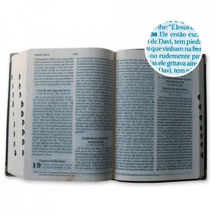Bíblia Letra Grande - Marrom