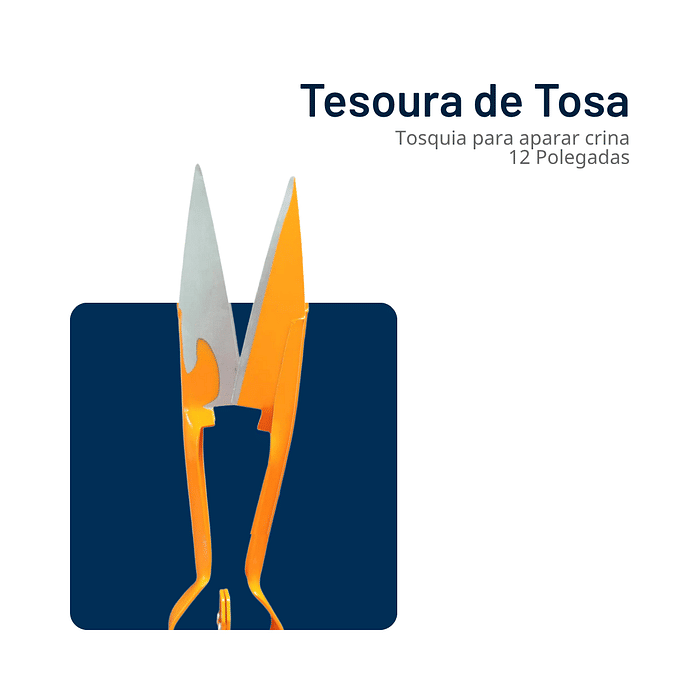 Tesoura de Tosa Tosquia Aparar Crina Poda