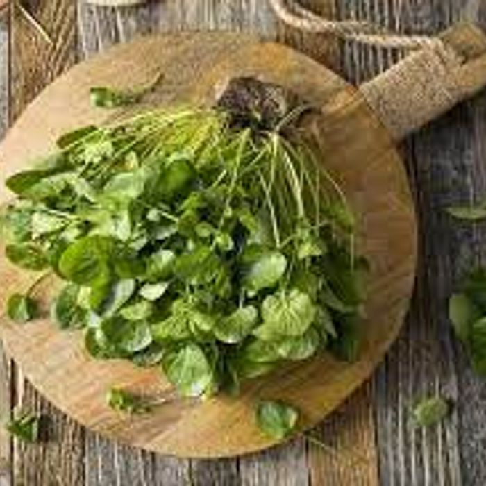 Agrião - da Chácara