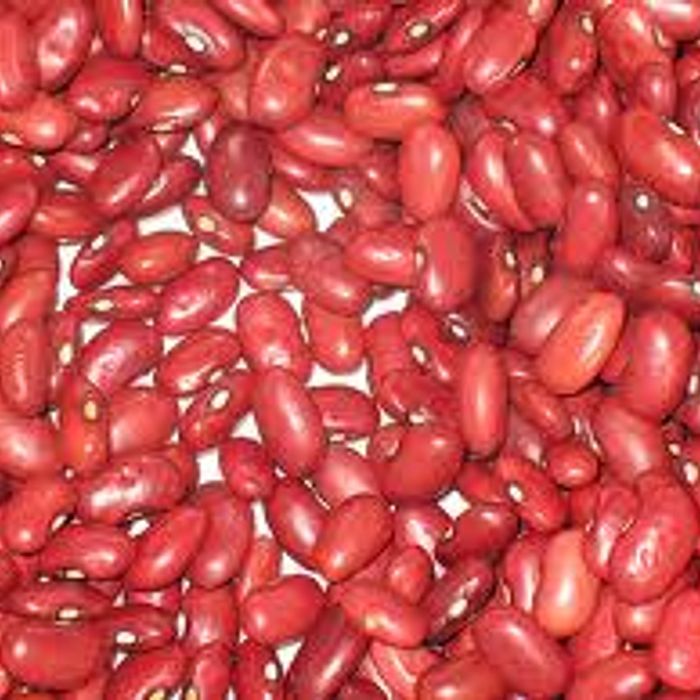 Feijão Vermelho granel 500 g - Terra