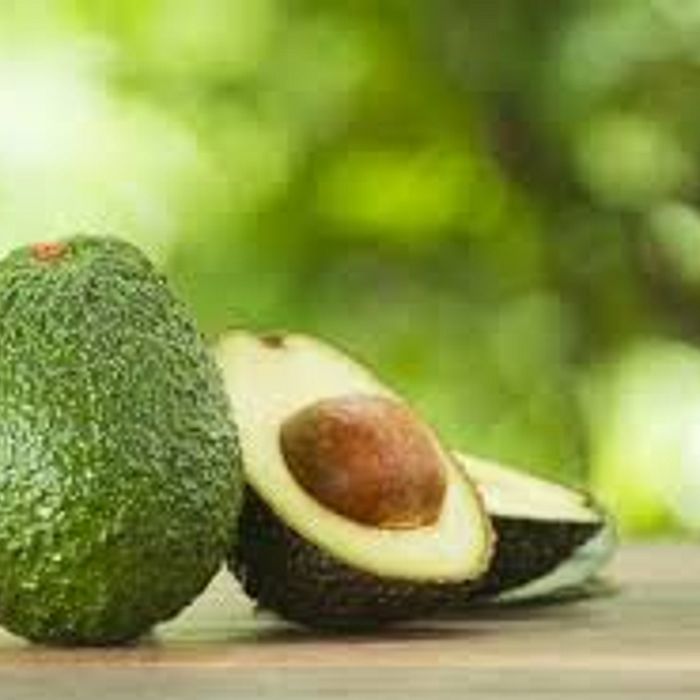 Avocado ±1 kg - Terra