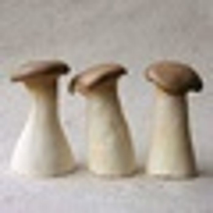 Cogumelo Cardoncello 200 g