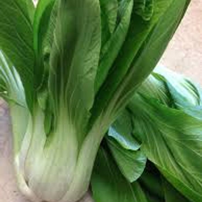 Chinguensai(acelga chinesa,  pak choi) - Vivian