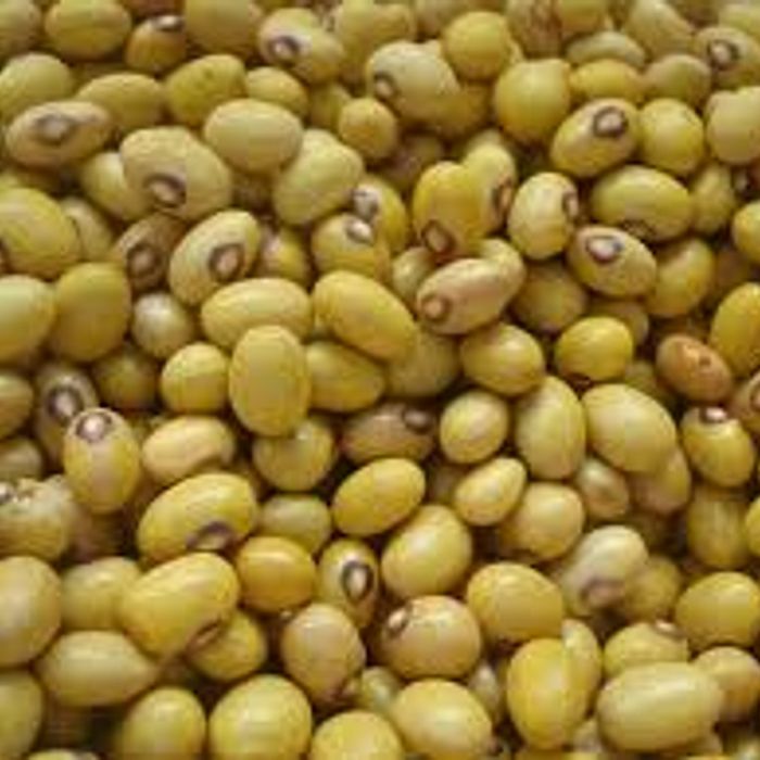 Feijão Moyashi  500 g