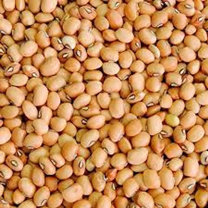 Feijão Fradinho / é o de Corda  500 g