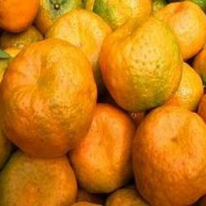 Mexerica Poncã ±2 kg