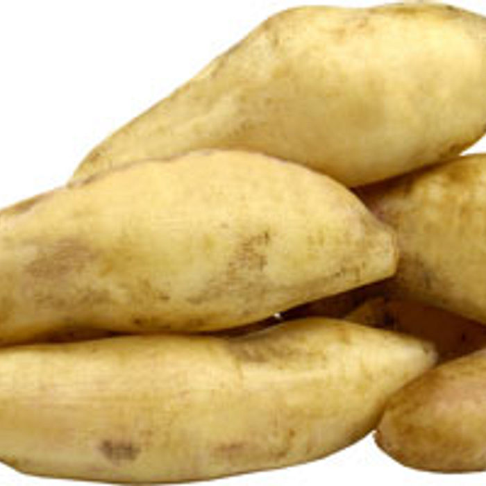 Batata Yacon ± 500 g - Terra