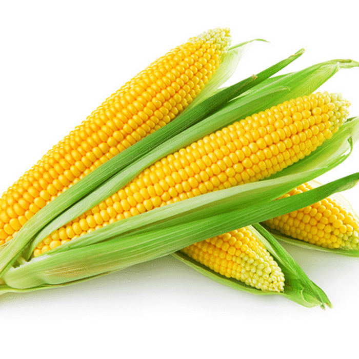 Milho Verde  ± 500 g ou 2 espigas