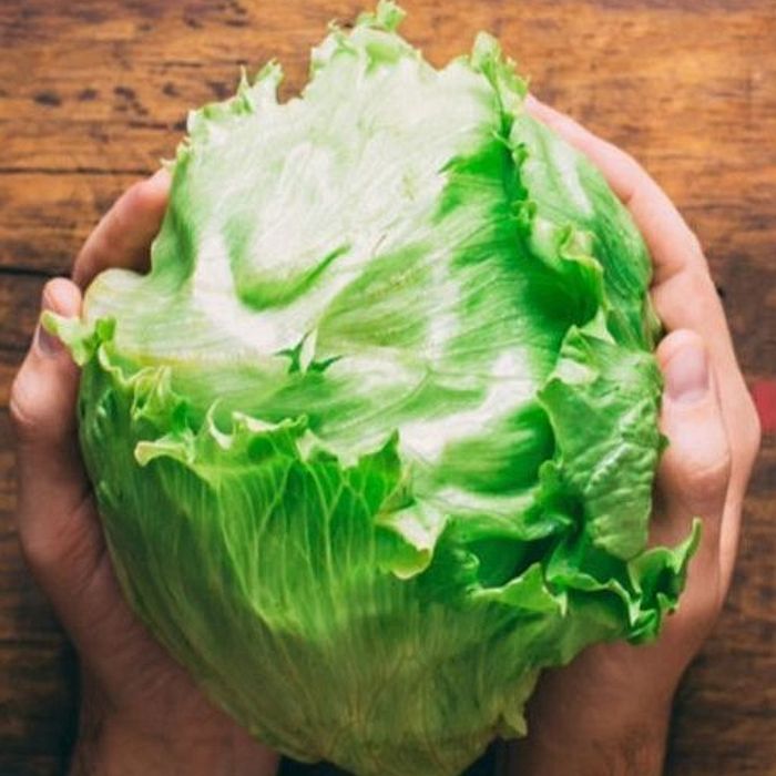 Alface Americana - Fuentes