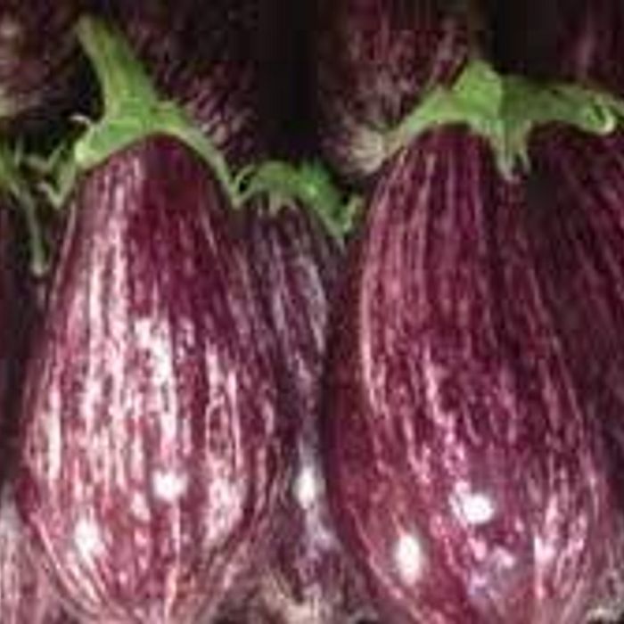 Berinjela Rajada ±1 kg