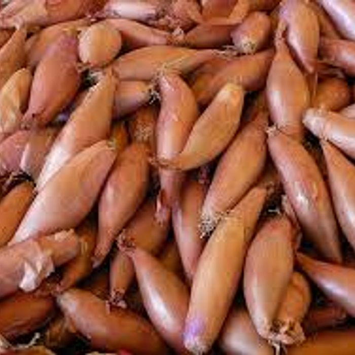 Cebola Pequena ± 500 g - Terra